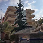 Ada-1